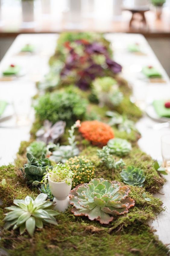Décor verdure, mousse naturelle, centre de table